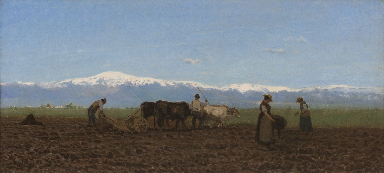L'aratura